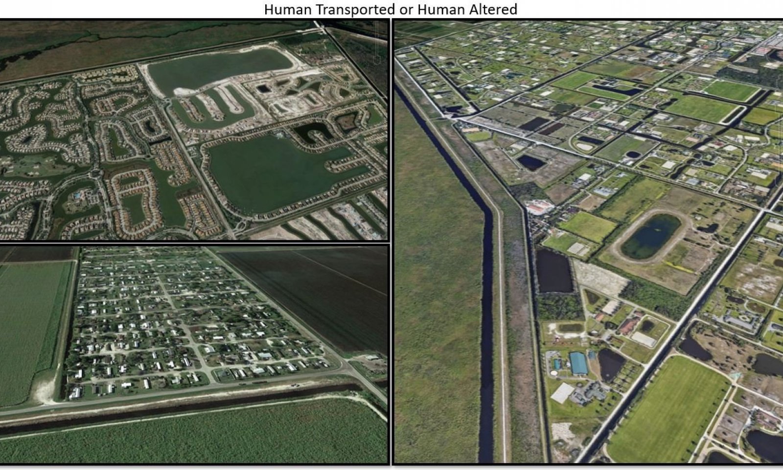 Human Transported or Human Altered