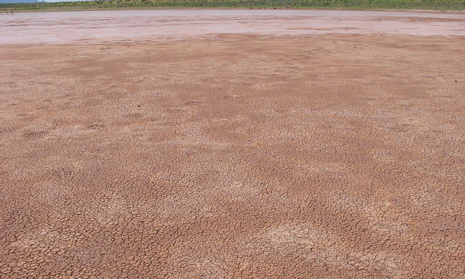 Saline_barren_SaltFlats_b