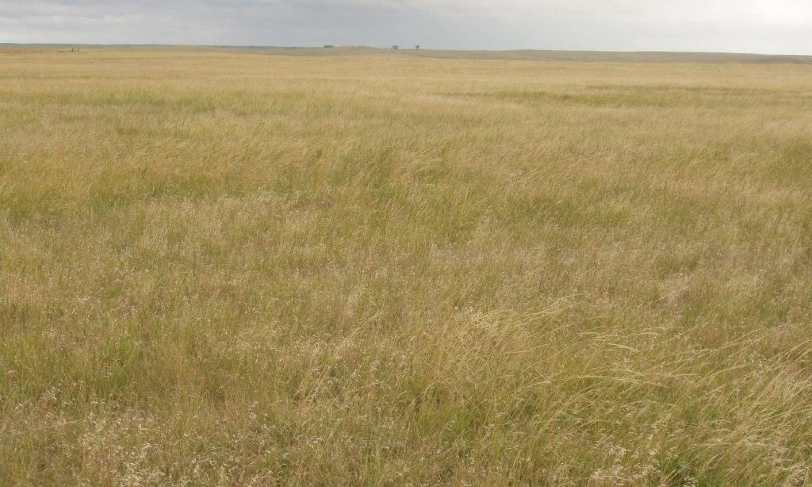 Nebraska ag land values grew 14% last year, UNL survey finds