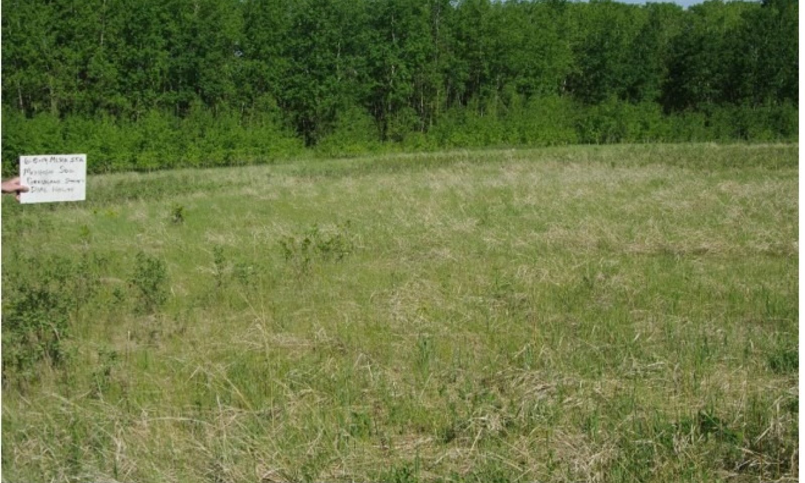 Screenshot 2025-03-11 090354