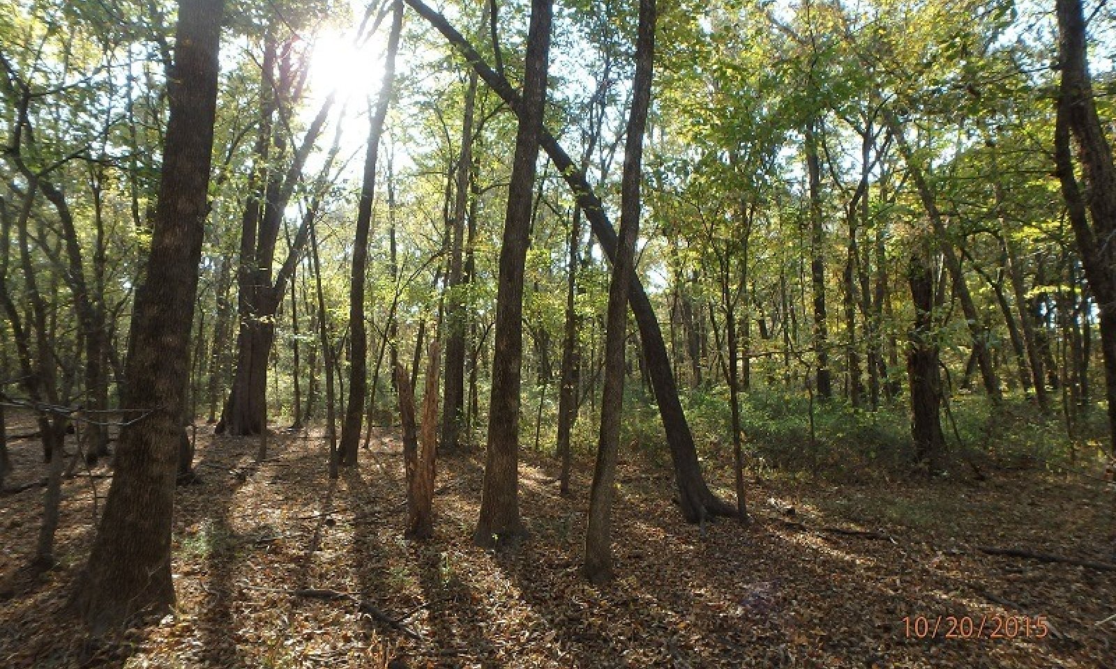 F115BY025MOMoniteauCreekCA_sized