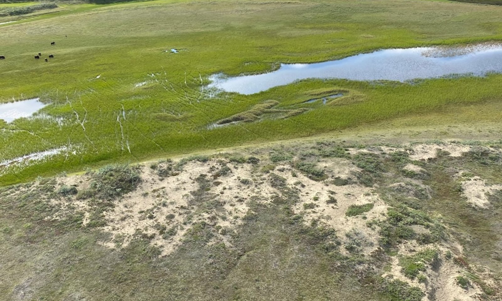 Screenshot 2024-07-16 134752