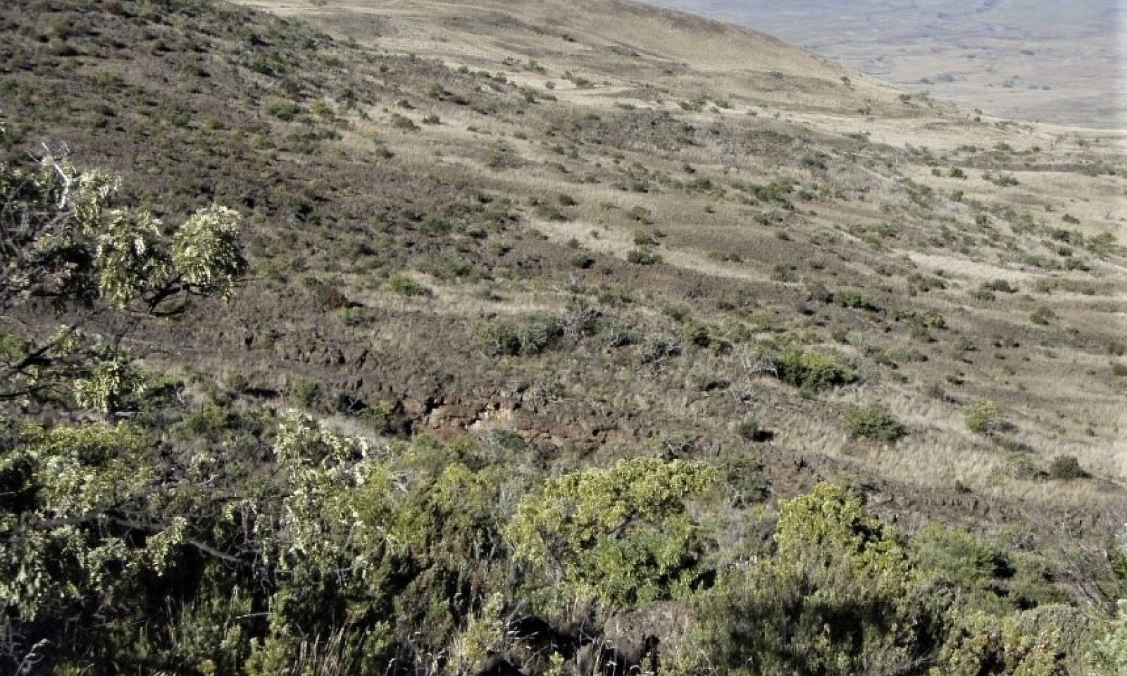 R161AY002 State 2 LANDSCAPE VIEW