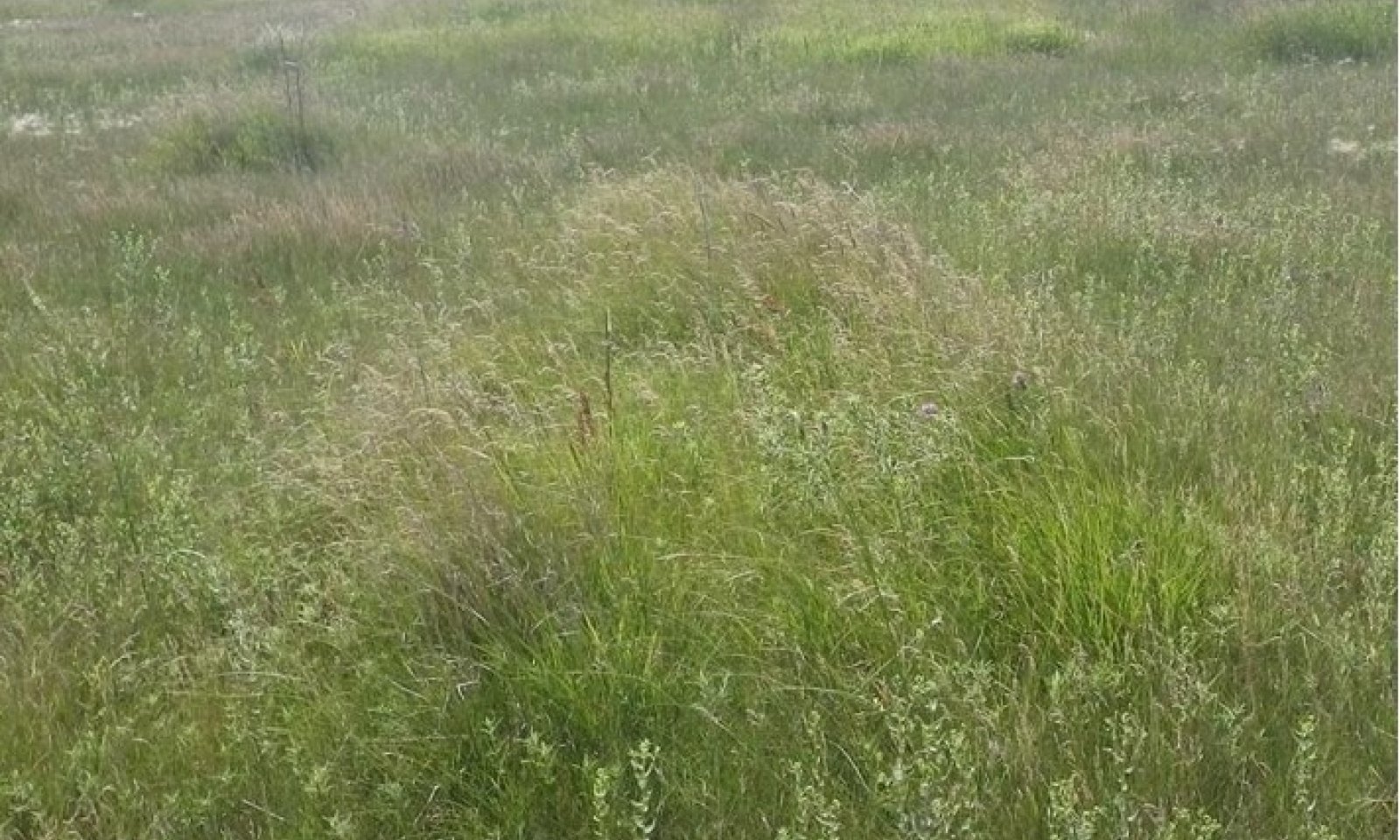 Screenshot 2025-03-19 092929