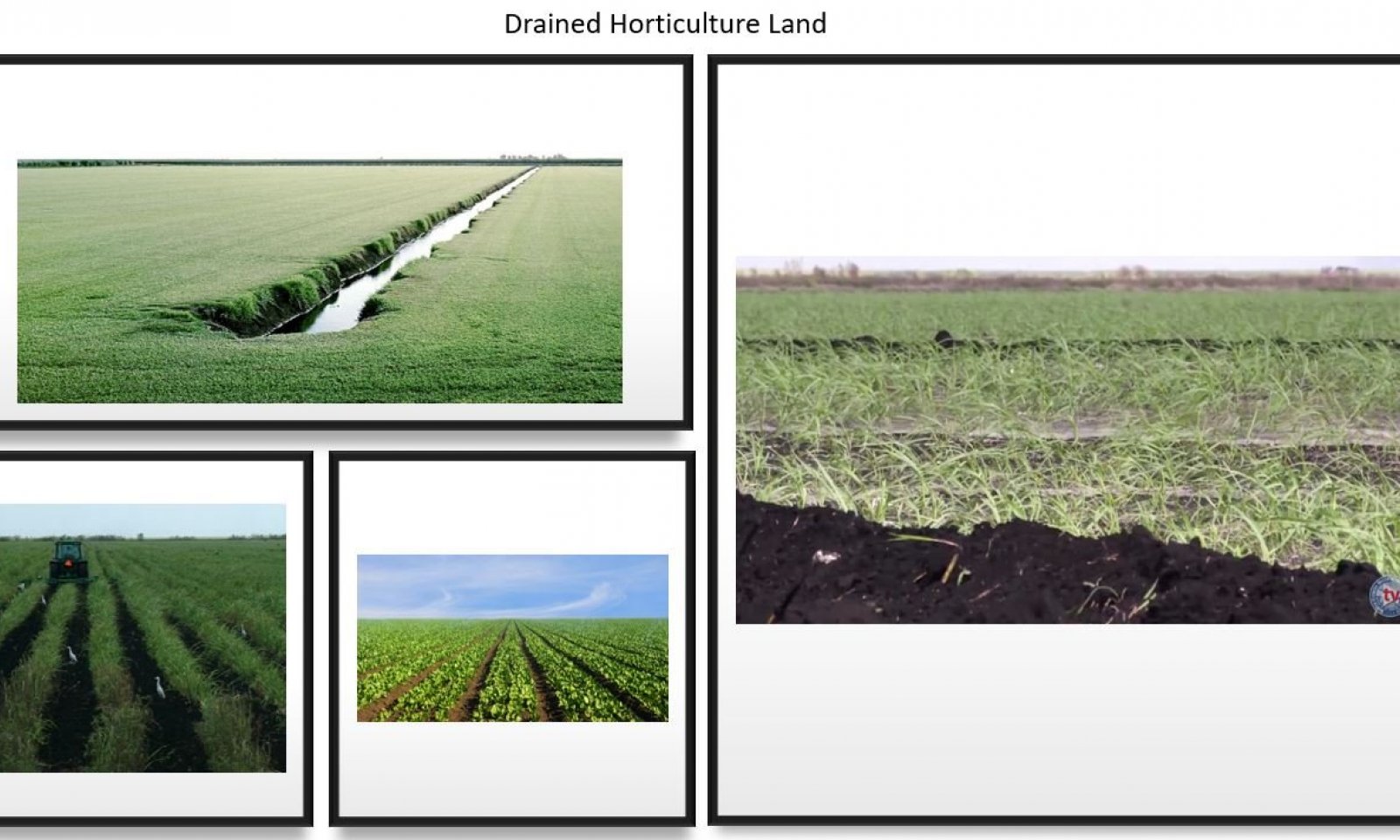 Drained Horticulture Land