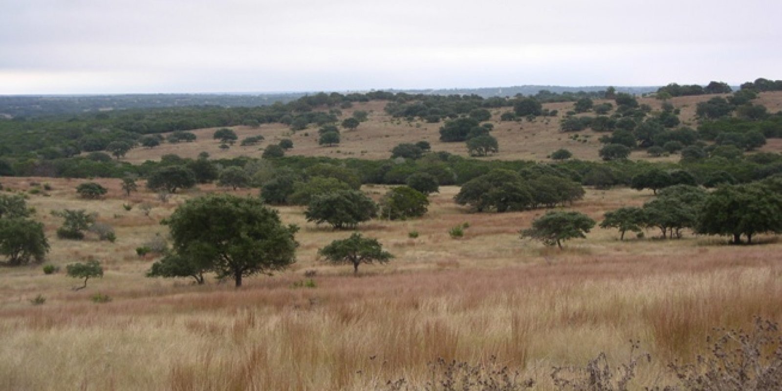 bop classification grand prairie tx