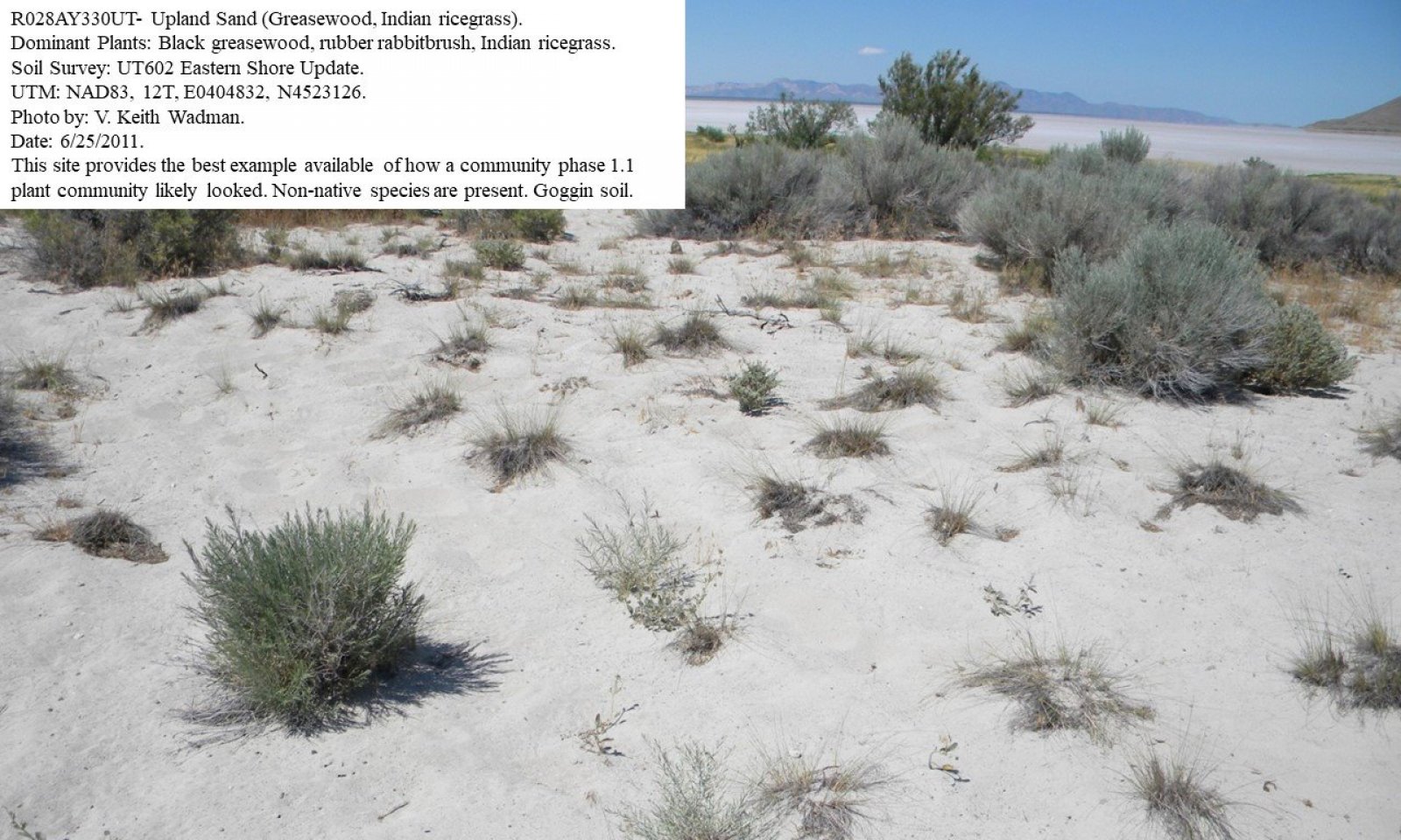 State & Transition Model 028AY330UT 1.1