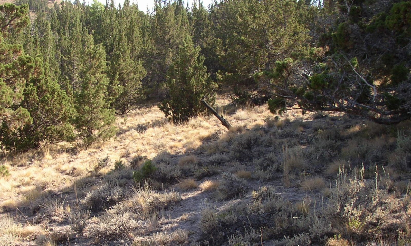 4.1 KAP-04-091 #2 040811