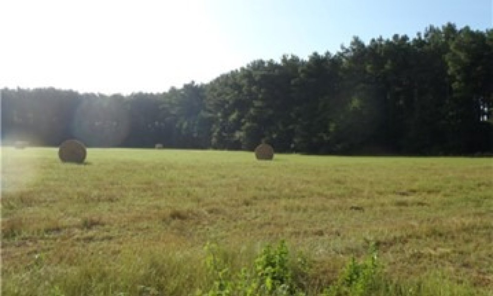 Picture2pasture