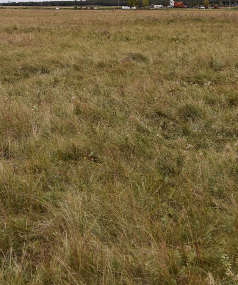 2.1 poto LiSb MLRA 55A