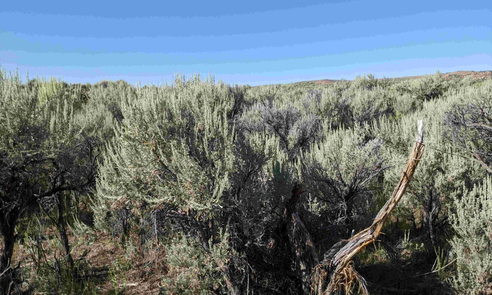 PXL_20230811_151734452_small