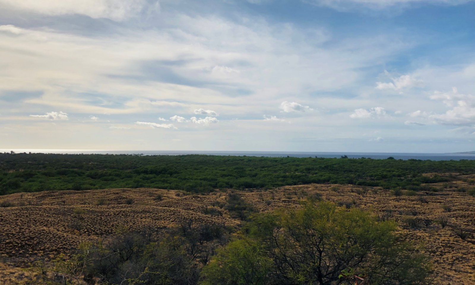 R157XY004 Reference State LANDSCAPE CONTEXT