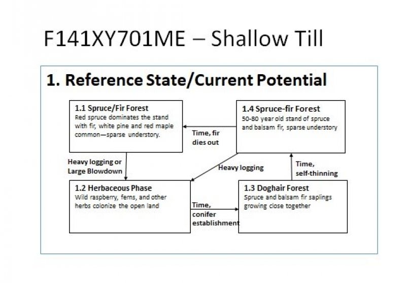 Model diagram