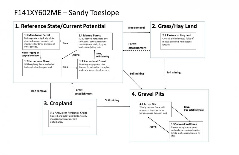 Model diagram