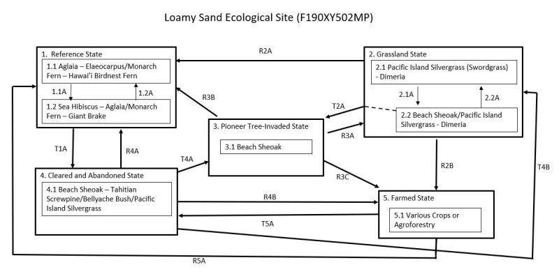 Model diagram