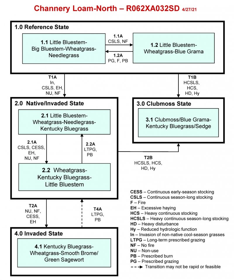 Model diagram