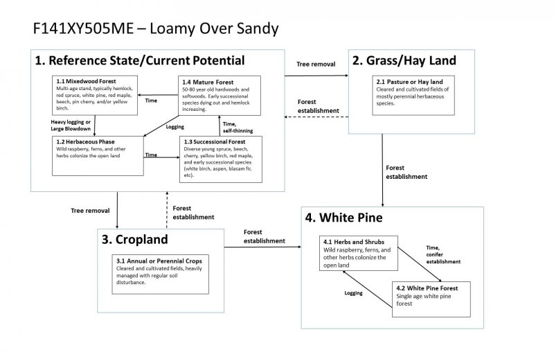 Model diagram