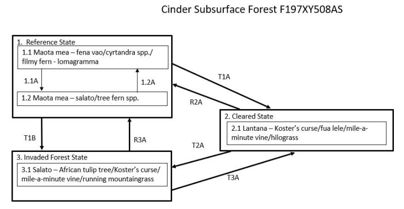 Model diagram
