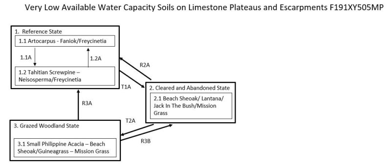 Model diagram