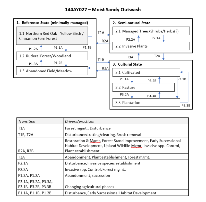 Model diagram