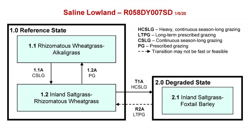 Model diagram