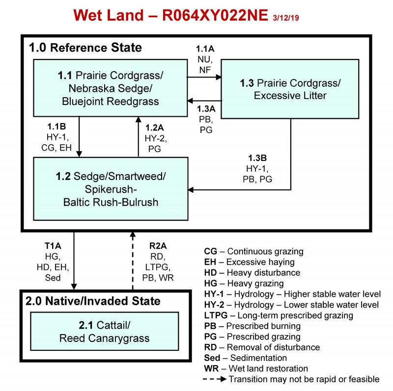 Model diagram