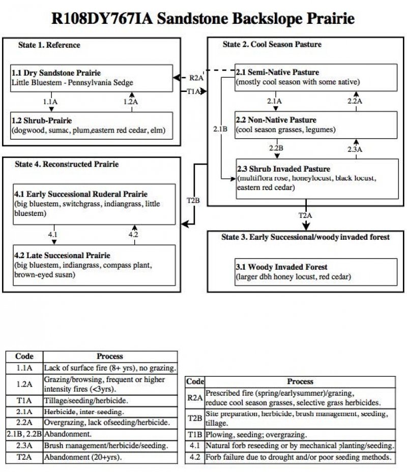 Model diagram