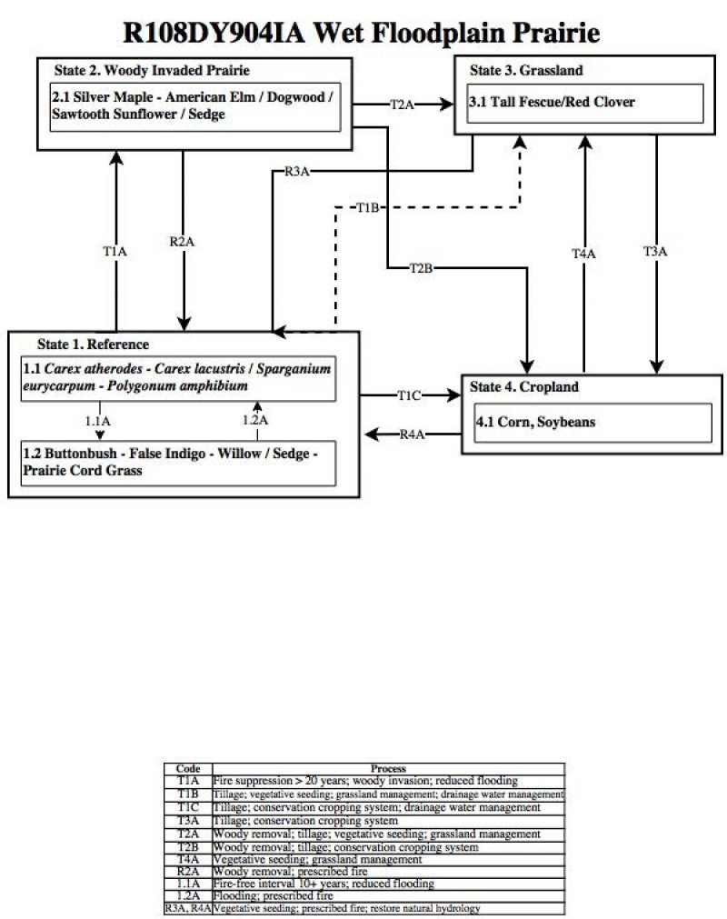 Model diagram