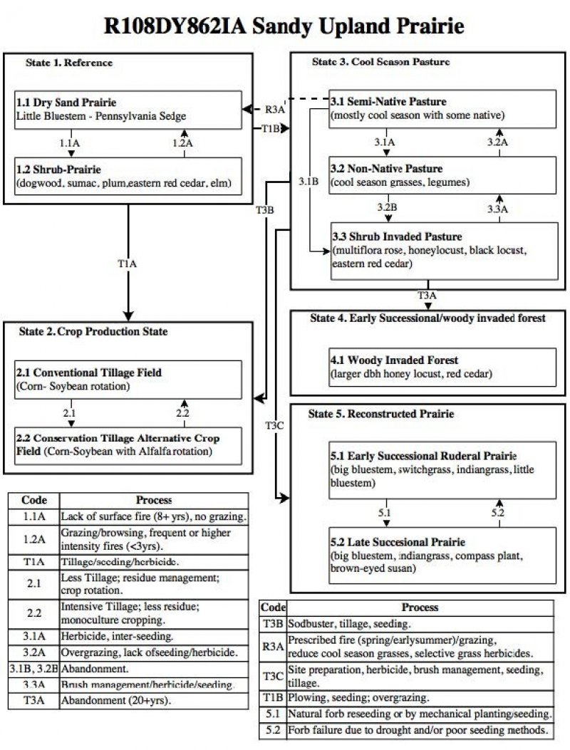 Model diagram