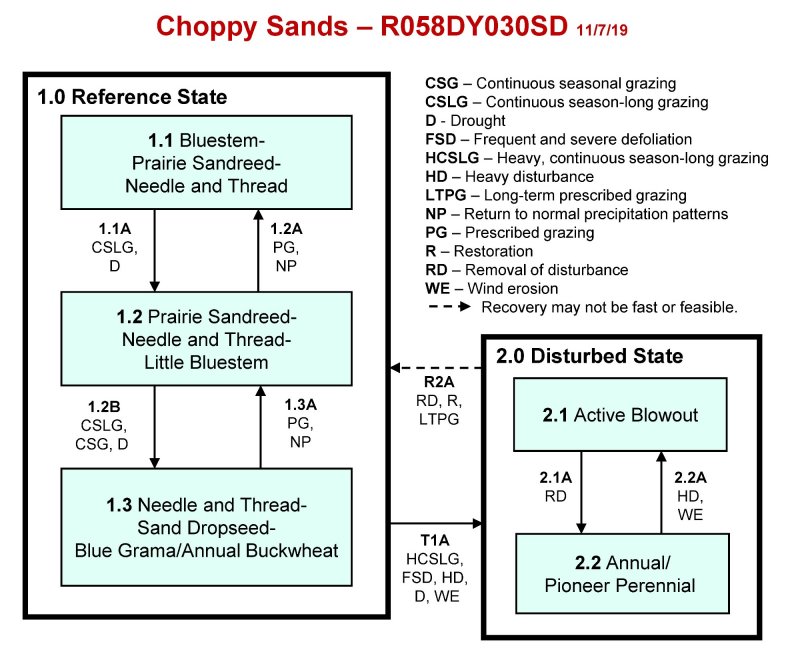 Model diagram