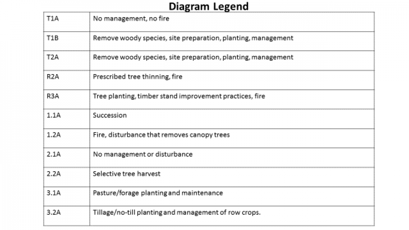 Model diagram