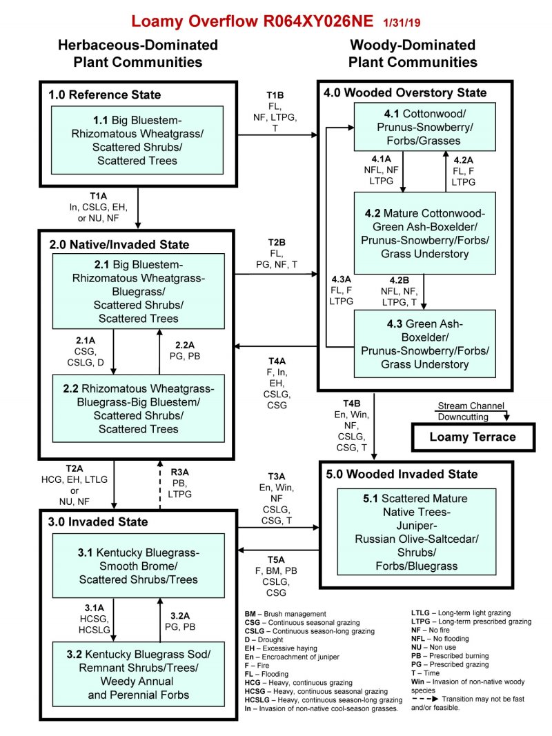 Model diagram