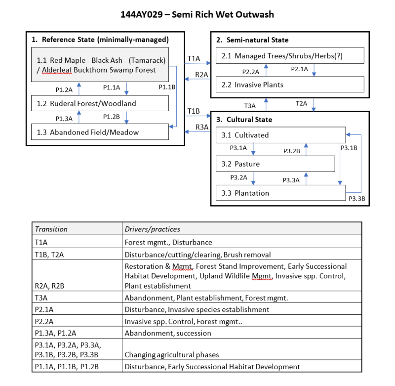 Model diagram