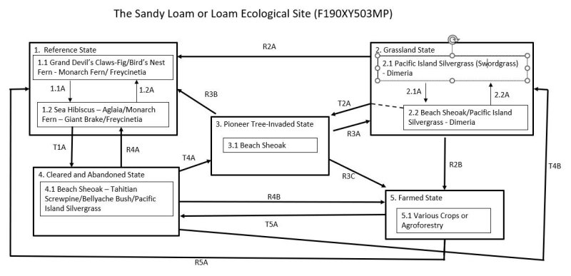 Model diagram