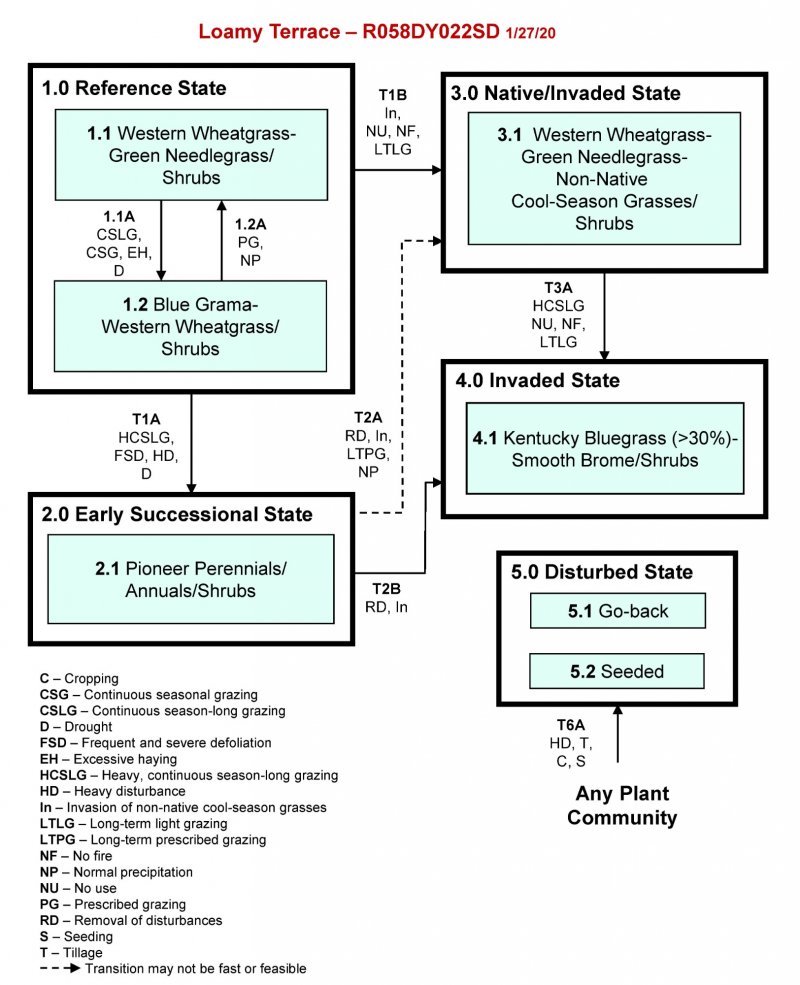 Model diagram