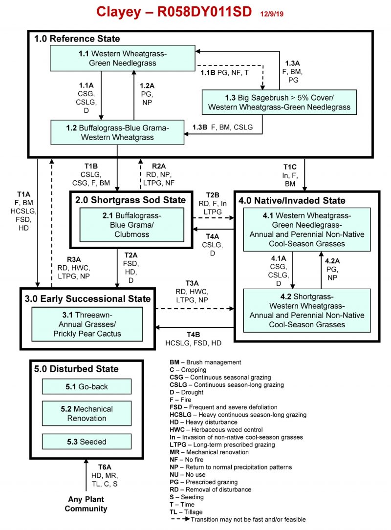 Model diagram