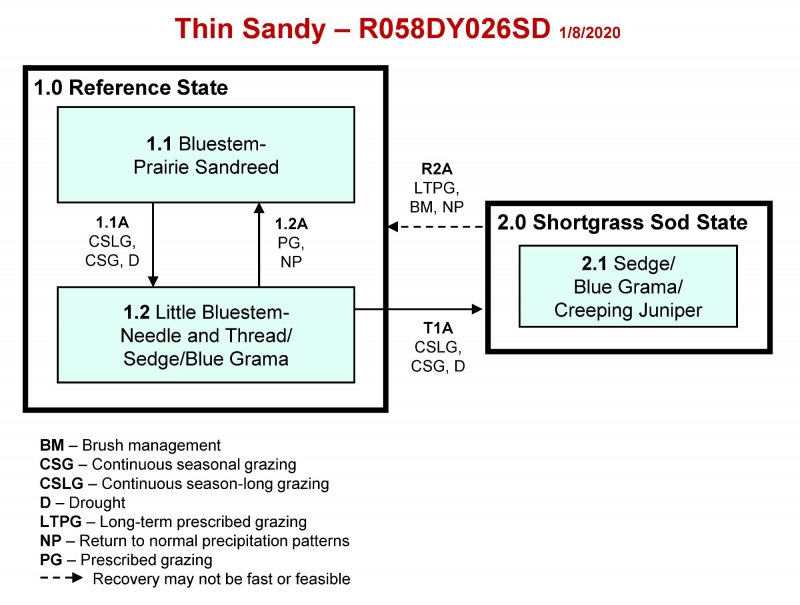 Model diagram