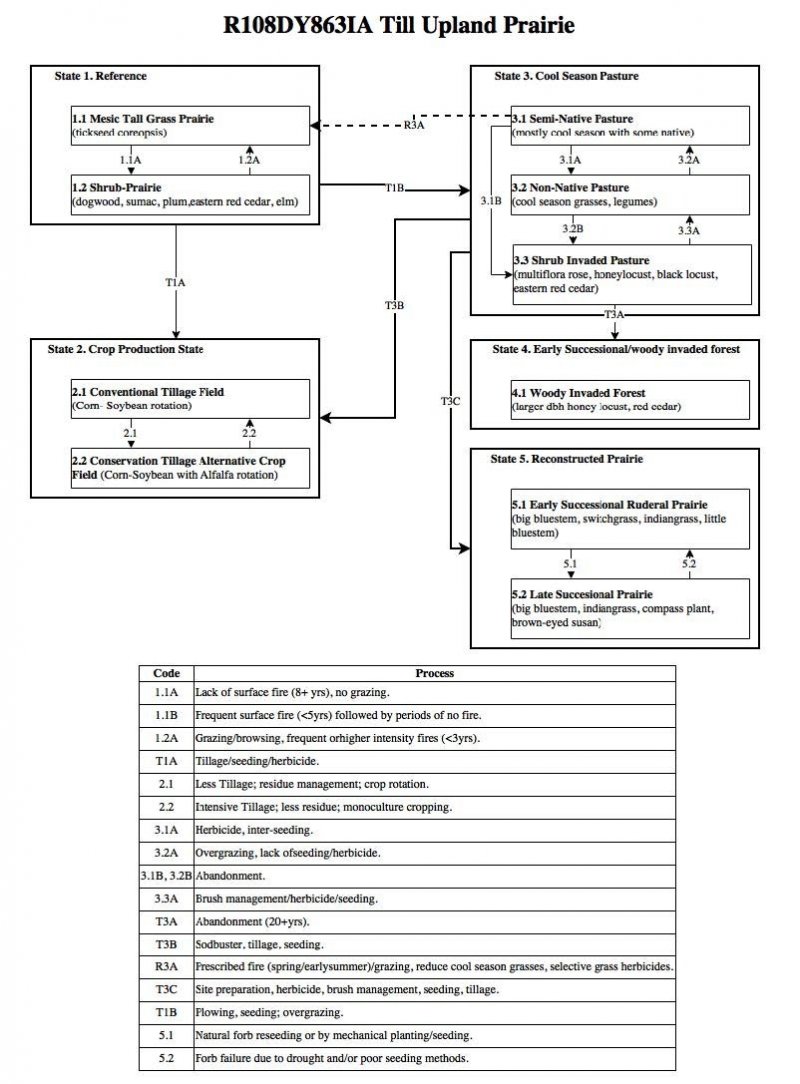 Model diagram