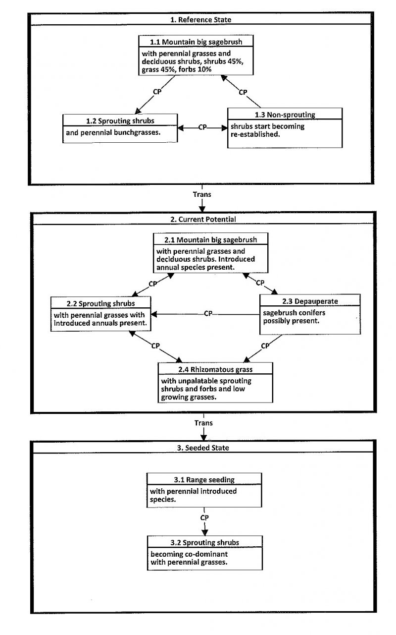 Model diagram