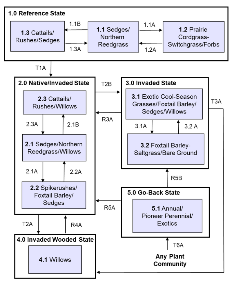 Model diagram