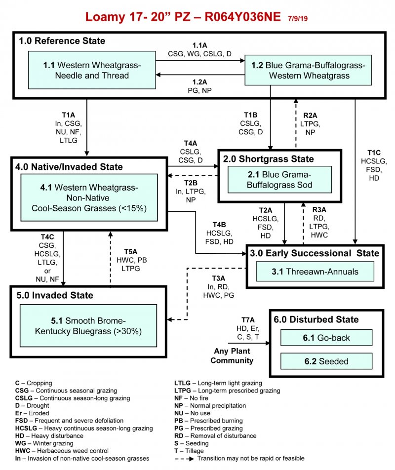 Model diagram