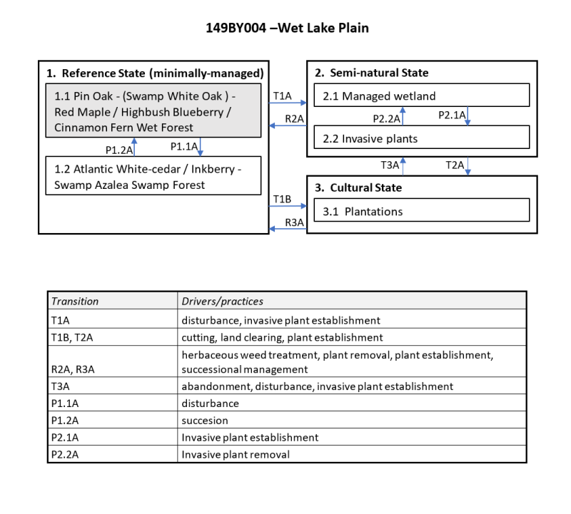 Model diagram