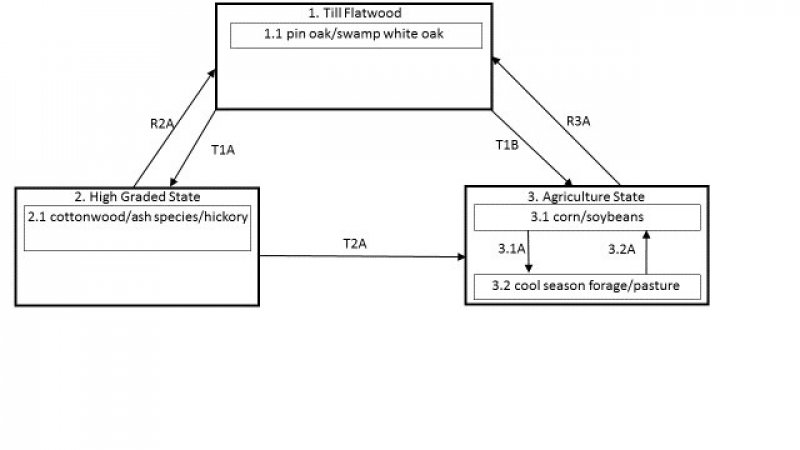 Model diagram