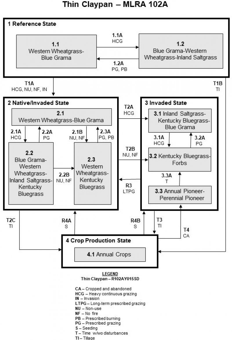 Model diagram