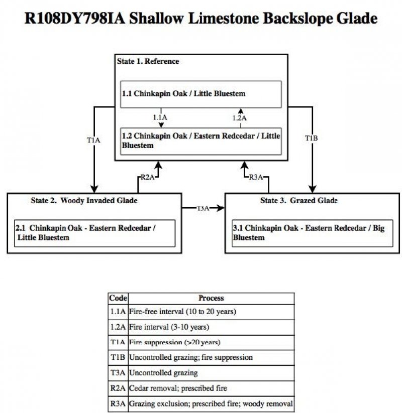 Model diagram