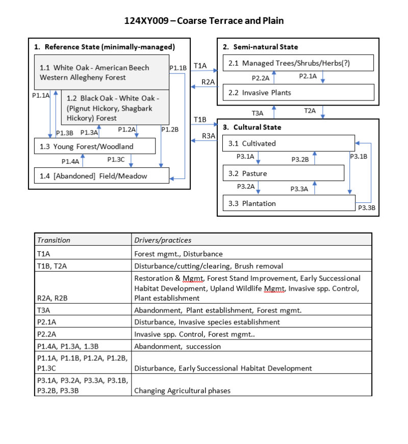 Model diagram