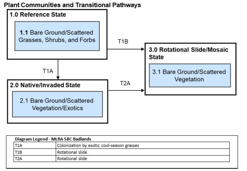 Model diagram
