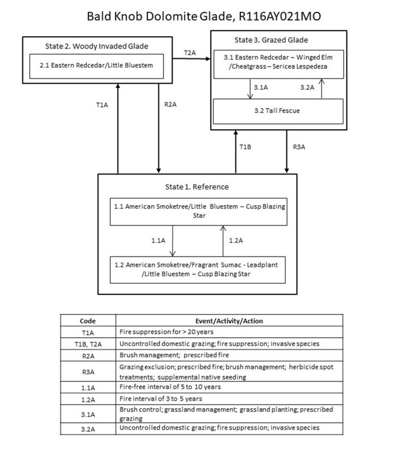 Model diagram