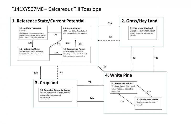 Model diagram