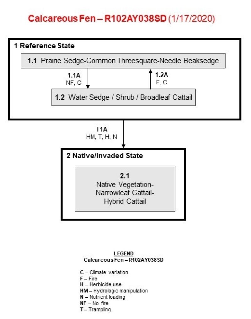 Model diagram